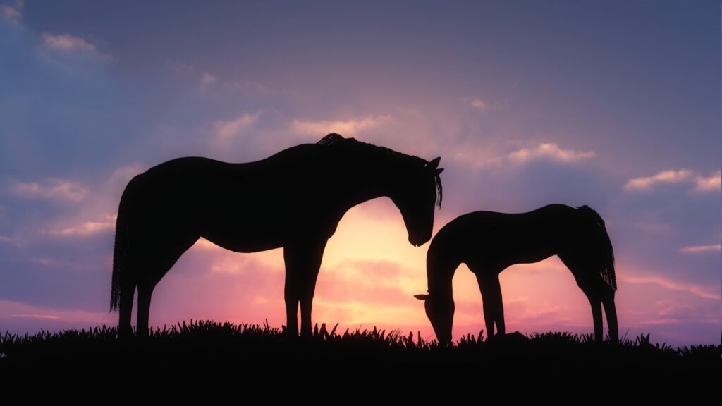 Horse and foal in the sunset.